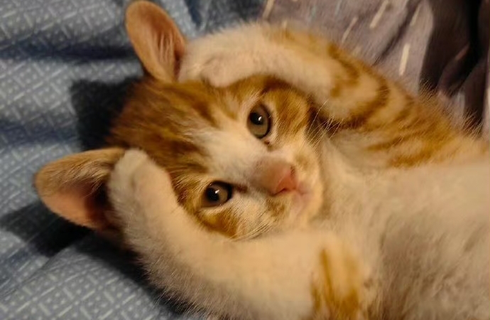 相处不累的秘密：情绪共愈代替互相折磨