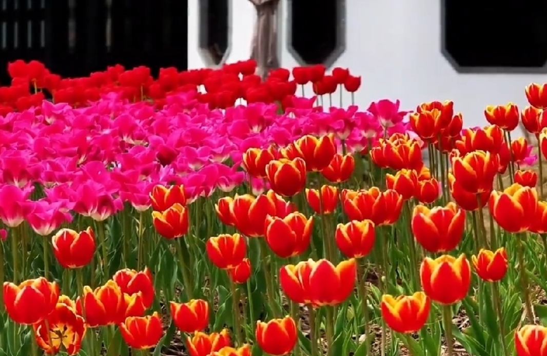 对“女生越成功，生育率越低”的理性分析