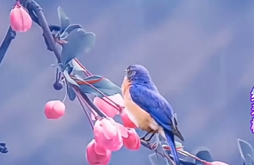 当“表哥喜欢我”：直面禁忌情感的清醒指南