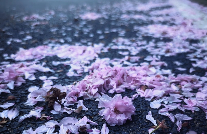 如何找到自己的主体性？