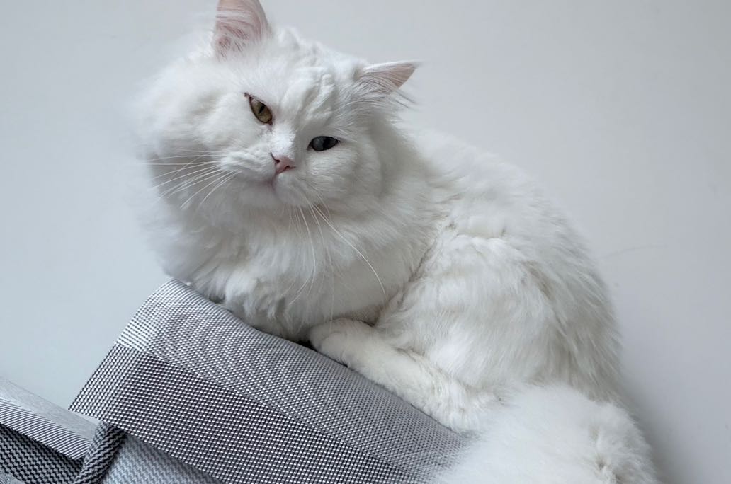 如何快速破局“职场霸凌”！！！