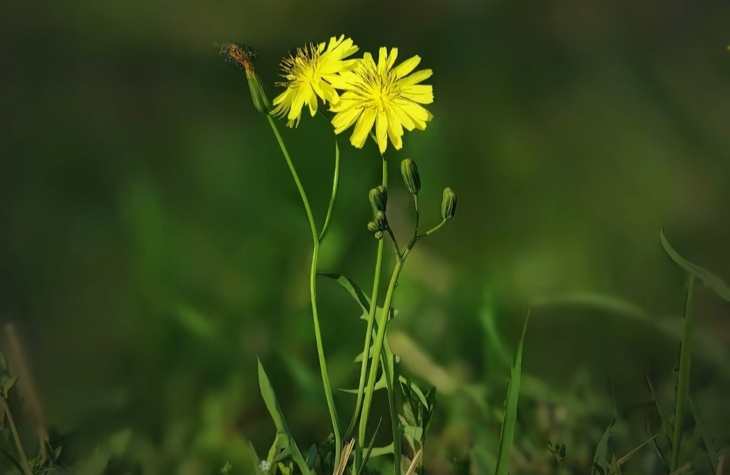 如何在感情中保持冷静？