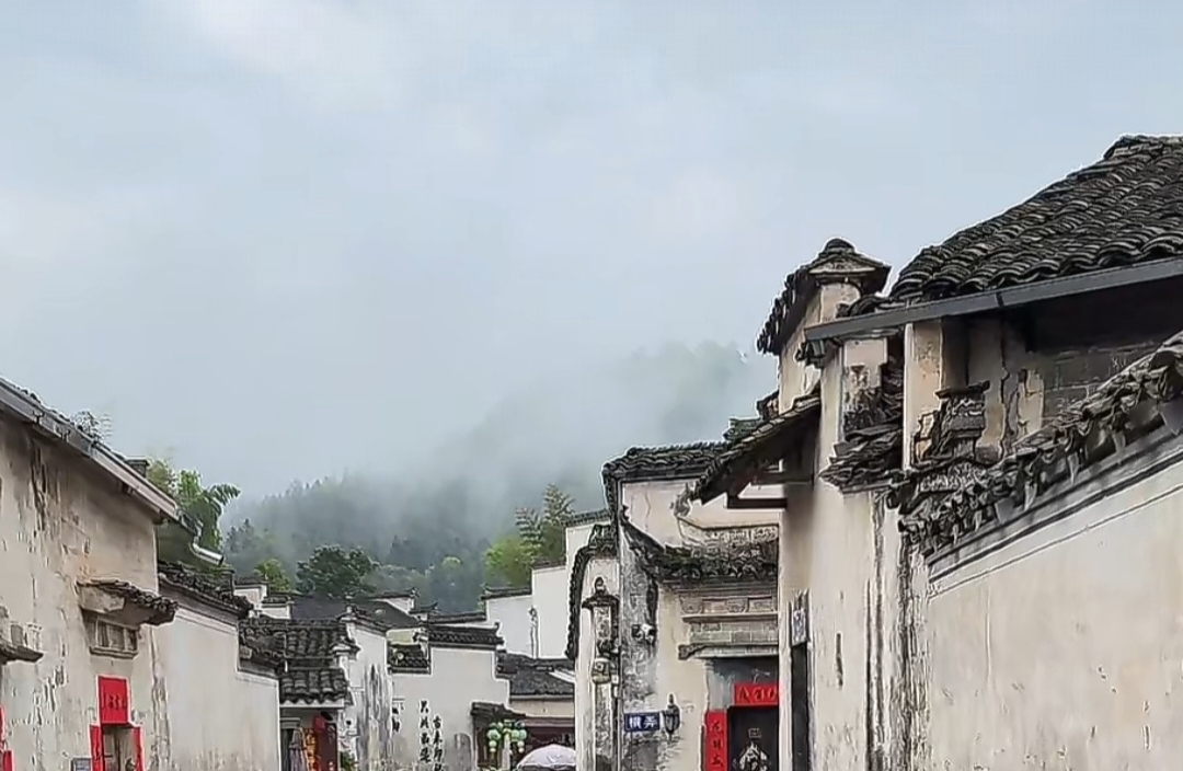 真正的释怀有哪些表现？