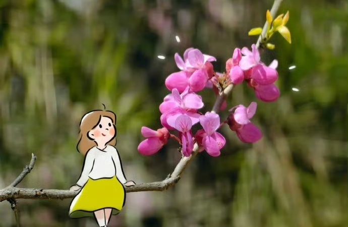 把指责当病症：不反击、不接招、保自己