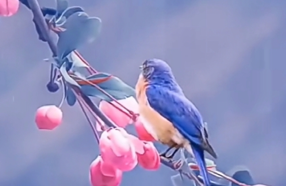 当“表哥喜欢我”：直面禁忌情感的清醒指南