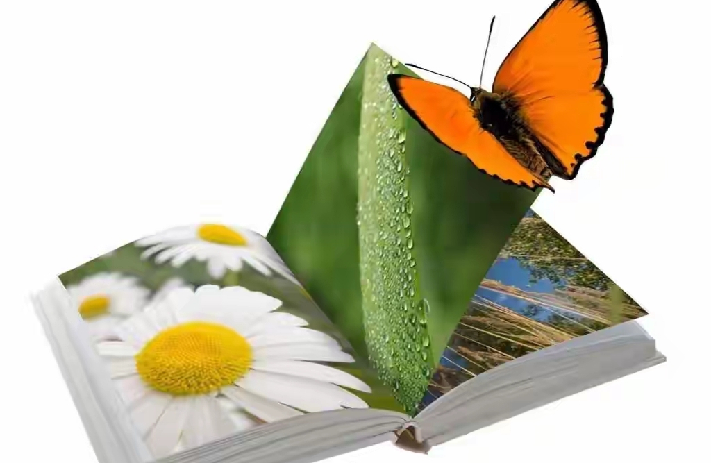 在不确定的世界中与伴侣共同规划未来：如何将愿景转化为当下动力