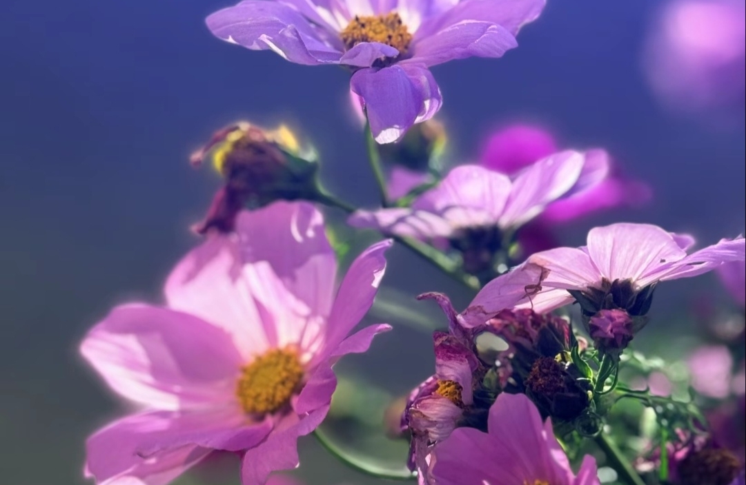 女性如何做到内心强大？