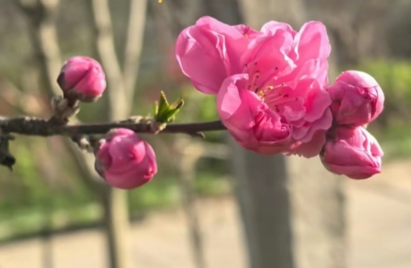 主体性强的女生有哪些特点？