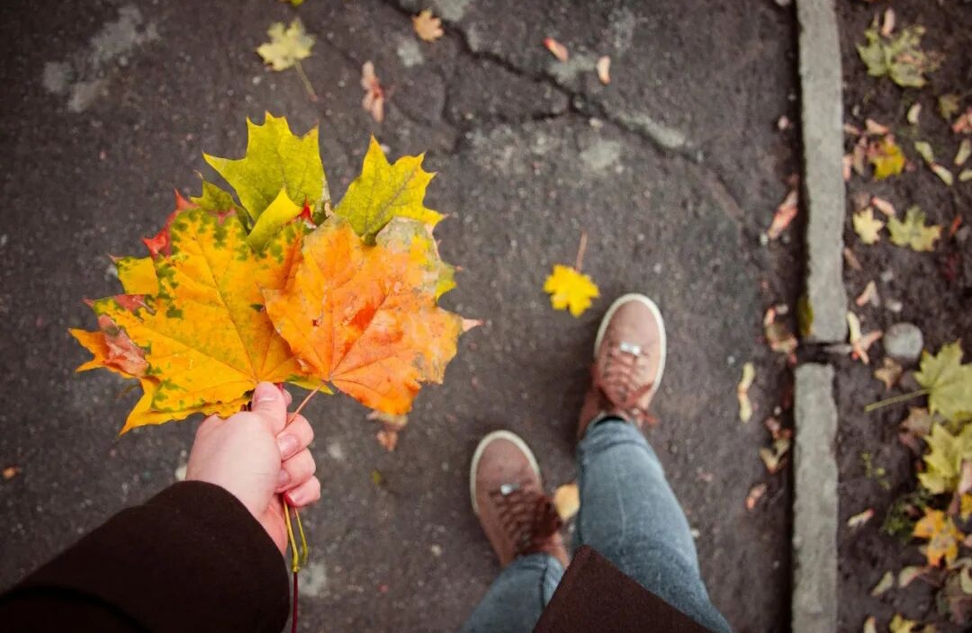 决策的暗影：为什么我们总在“后悔”中循环？