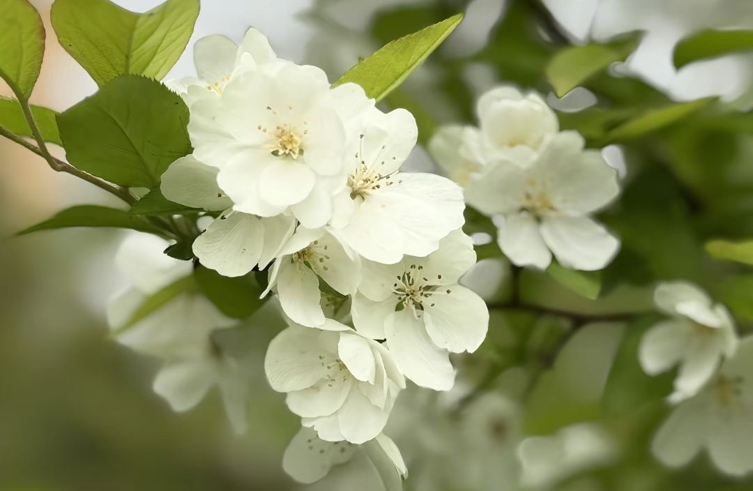 女生在感情中慢慢抽离的表现有哪些？