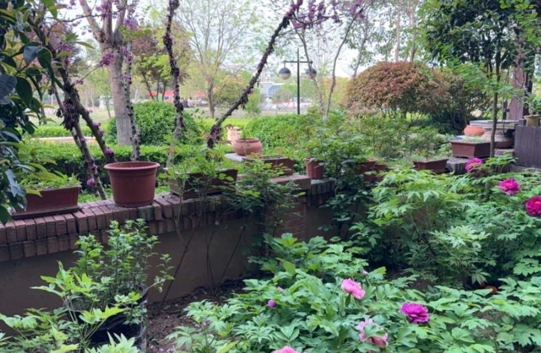 保持乐观的10个心态调整技巧