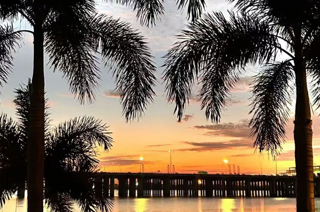 拉黑的动机有哪些？