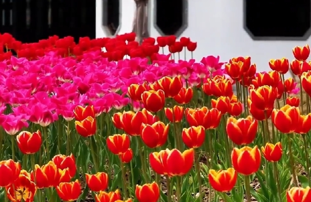 付出感委屈？用“需求记账法”清零