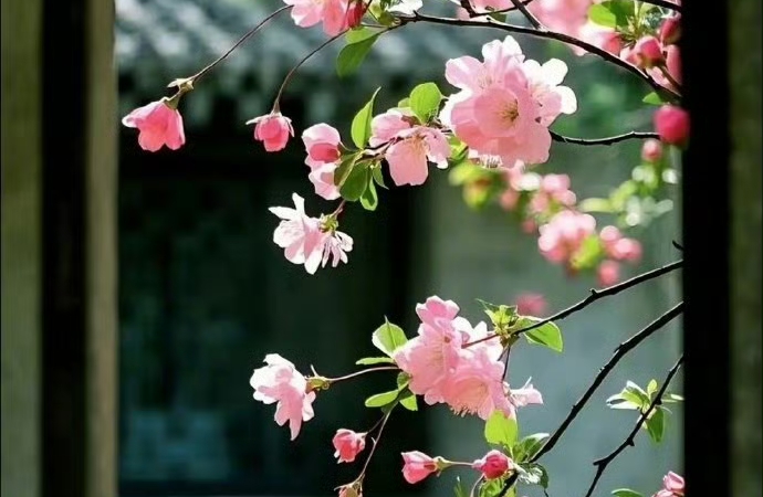 焦虑到心慌手抖？用冷水洗脸，再慢慢数出五个颜色。