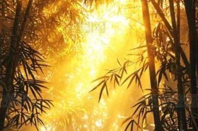 如何让自己自信阳光