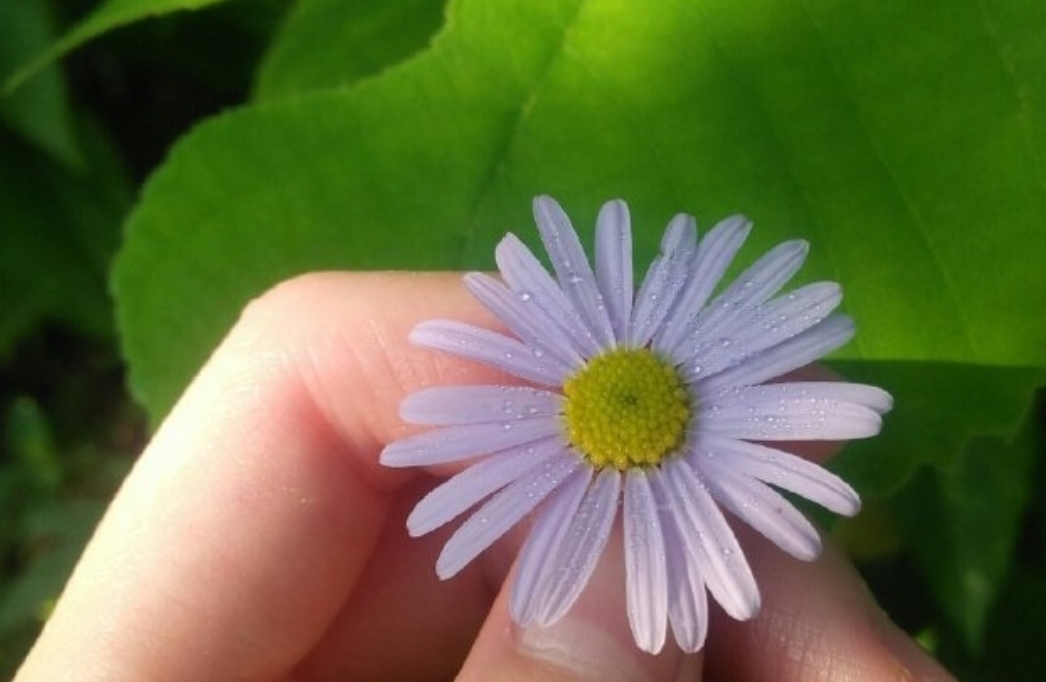 如何提高自己的心理韧性？