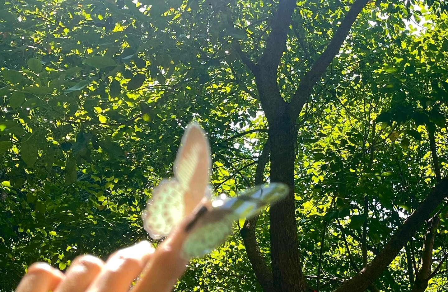 婆媳相处，守住边界方能彼此温暖