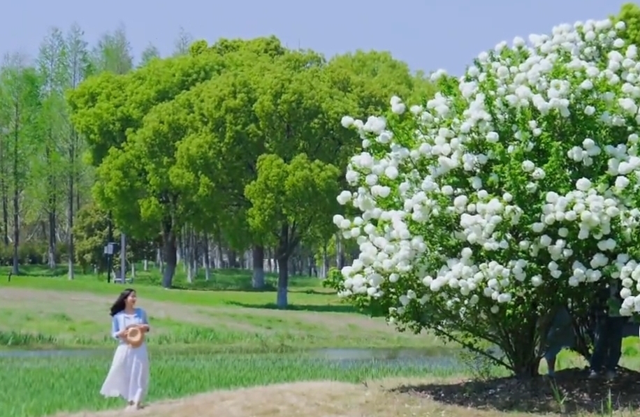 婚后感情变淡：别让平淡，耗尽所有深爱