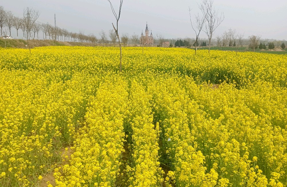 如何化解别人的负面情绪