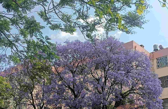 拆解单身困局：真正脱单，从来不是靠盲目社交