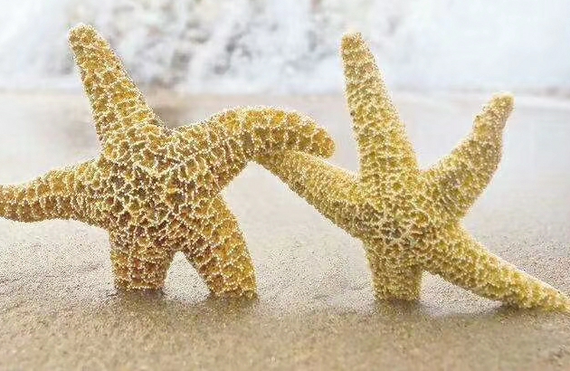 真的有社恐？还是课题没分离？