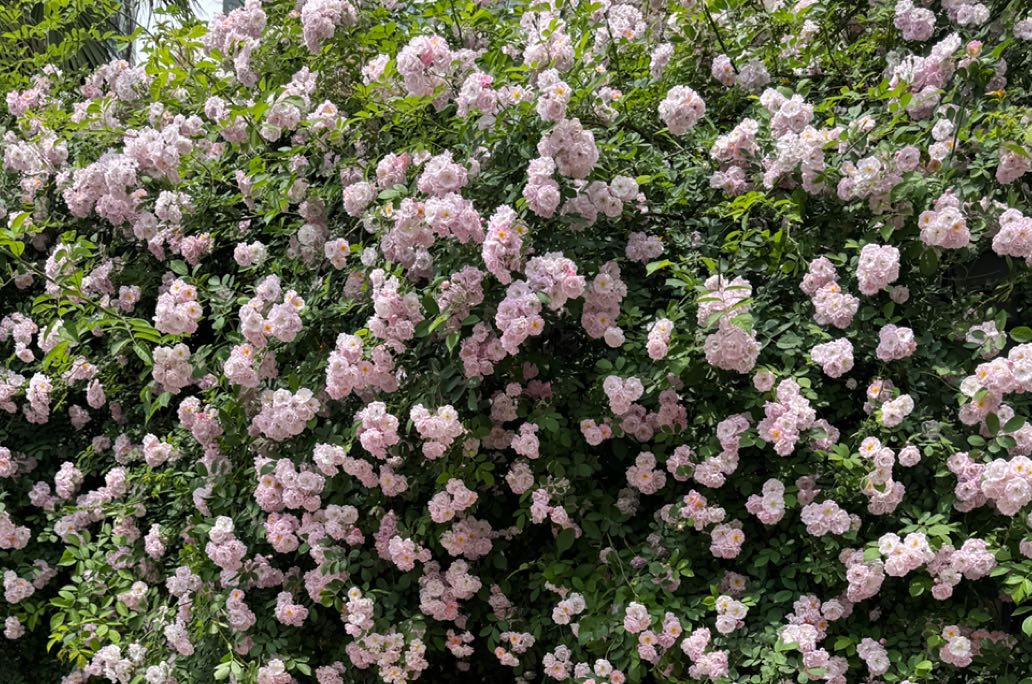 如何停止胡思乱想？