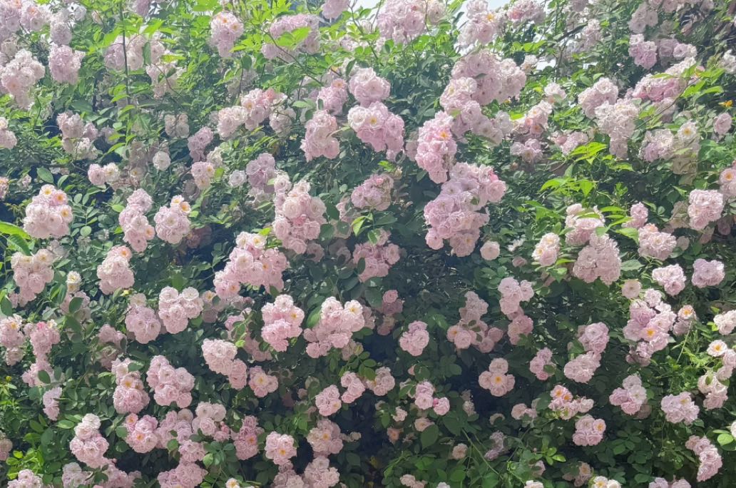 如何慢慢变得内心强大