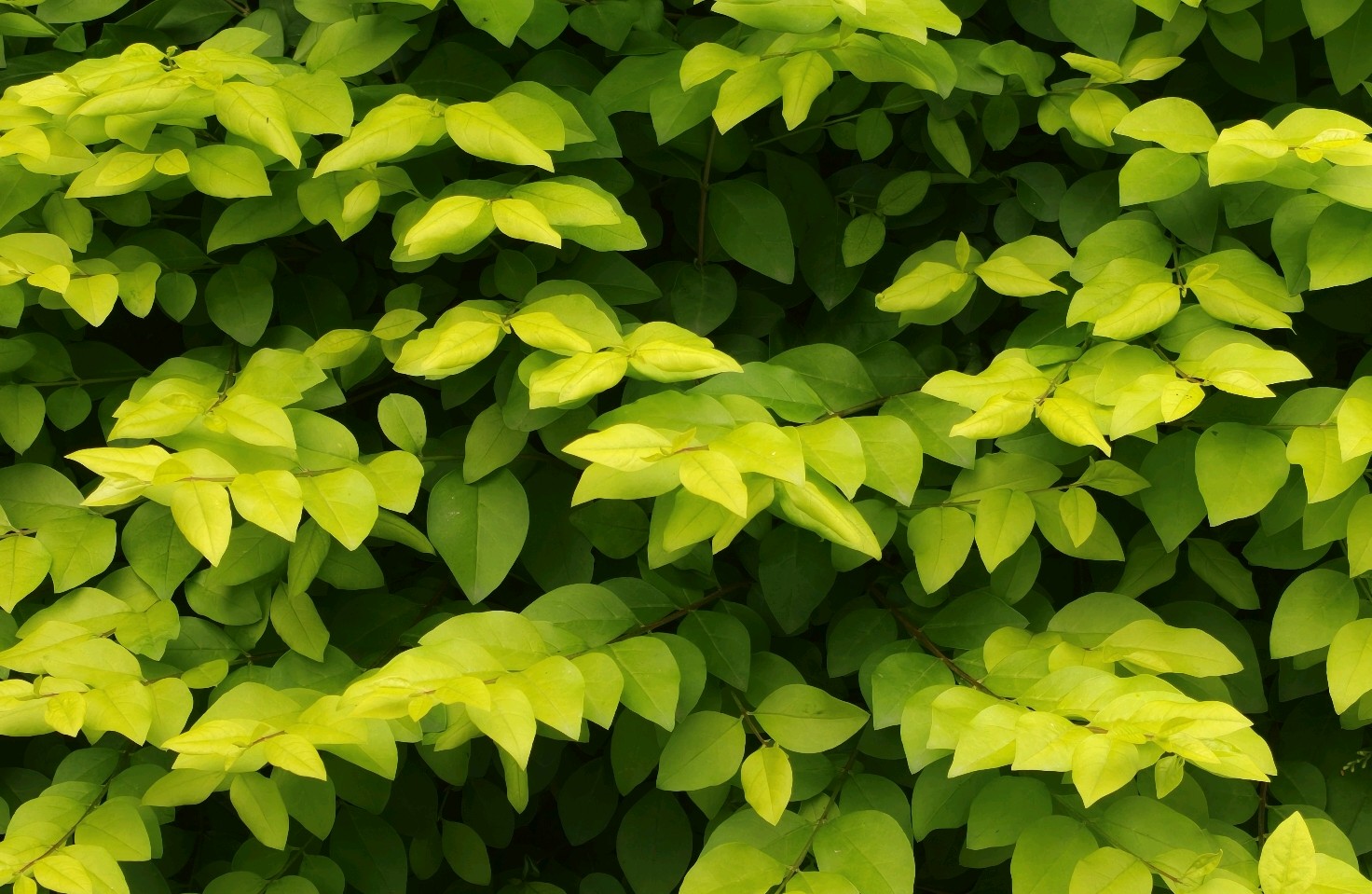 养育孩子过程中常见的挑战有哪些？