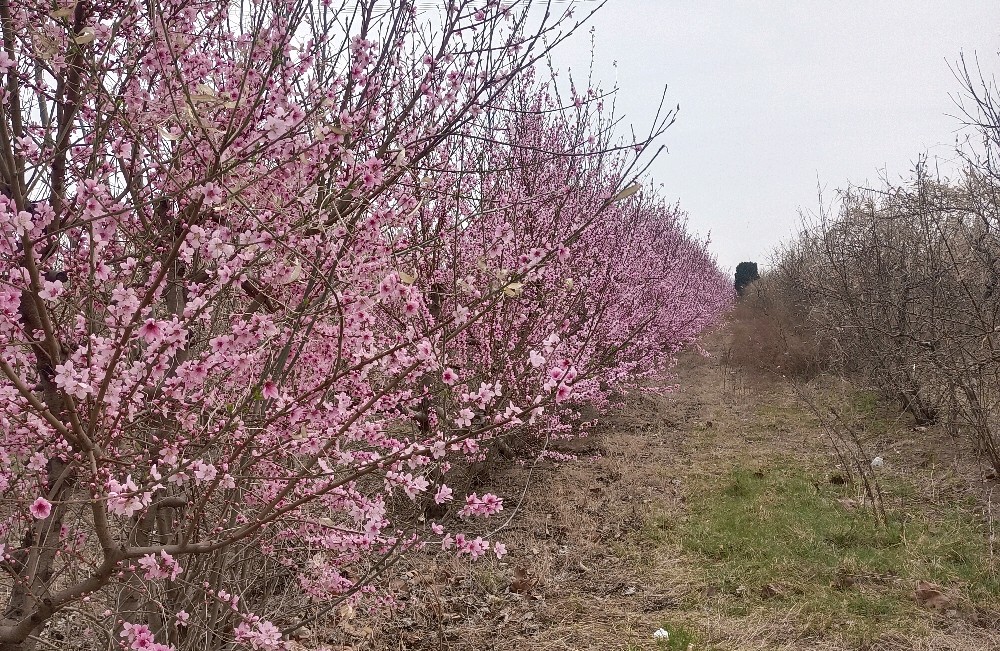 ‌先让自己完整，再去找完整的另一半‌。