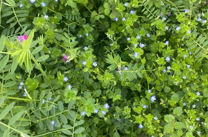 如何做一个好妈妈？