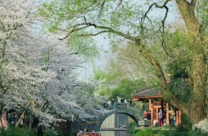在人际的河流中，学会从容自渡