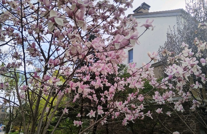 如何保持良好的心态，不去怀疑对方