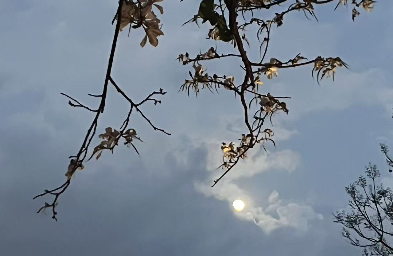 从容面对失恋
