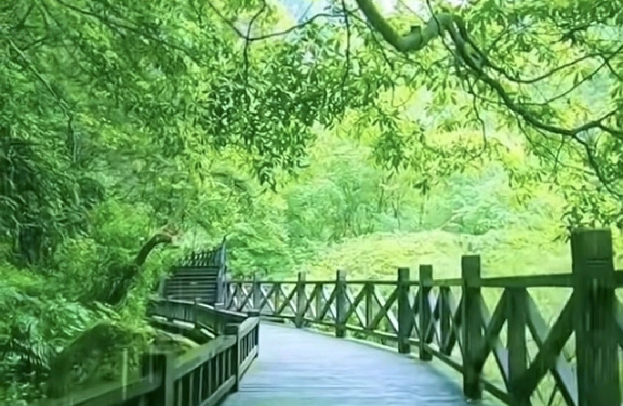 成年人的婚恋，拼的从来不是爱情