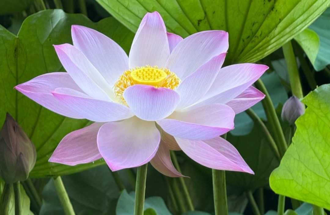 由奢入简